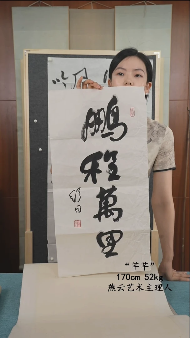 书法舒老师《鹏程万里》（何）