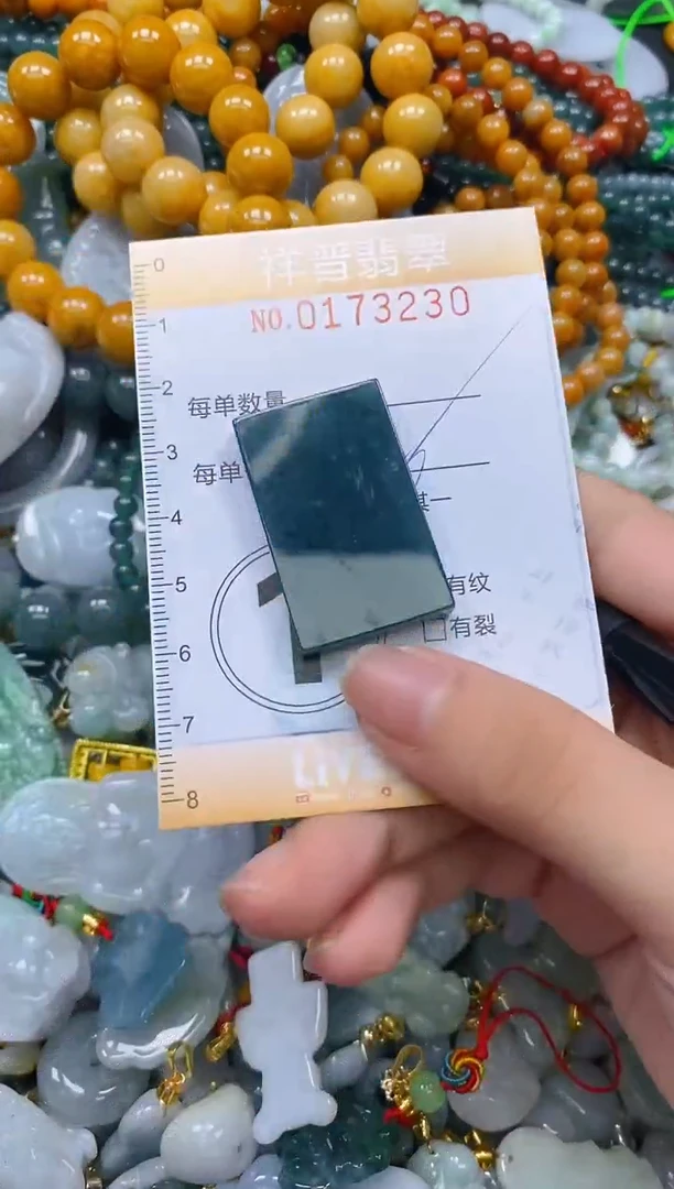 翡翠未镶嵌颈饰闪购0173230多样性发其一