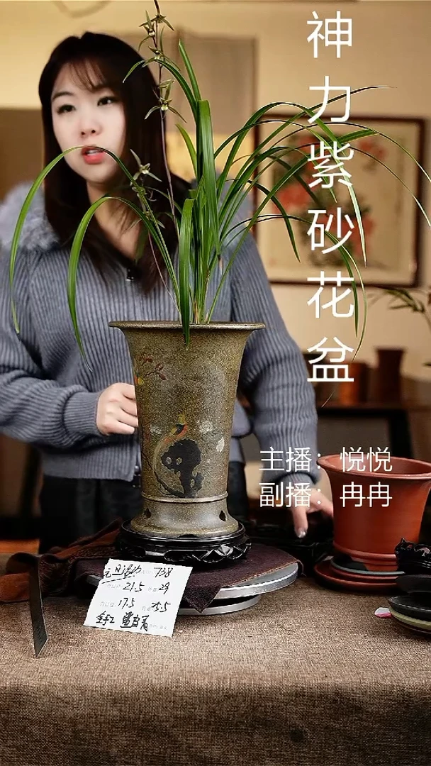 紫砂花盆花卉工艺738+s