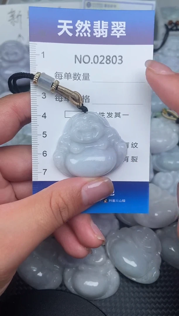 颈饰未镶嵌翡翠纯天然A货翡翠2803