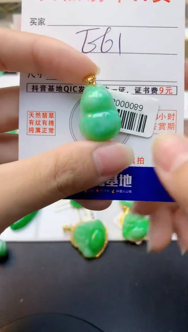 颈饰未镶嵌翡翠天然缅甸A货翡翠