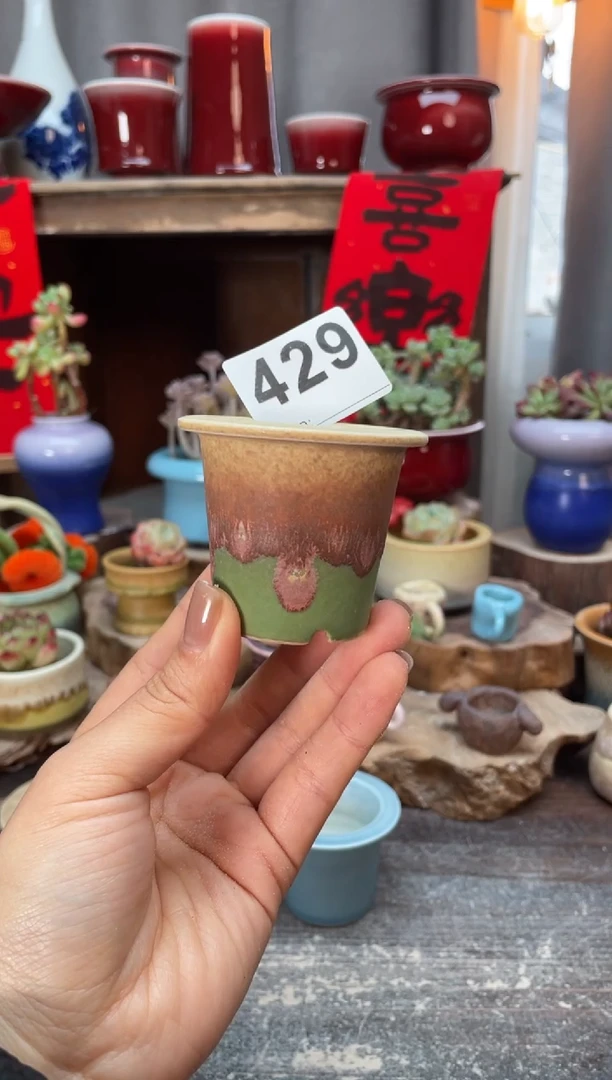 【闪购商品】摆件429知木小芳花盆