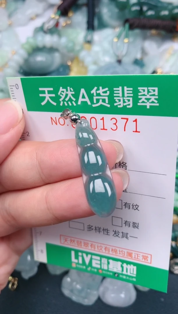 颈饰未镶嵌翡翠.0001371