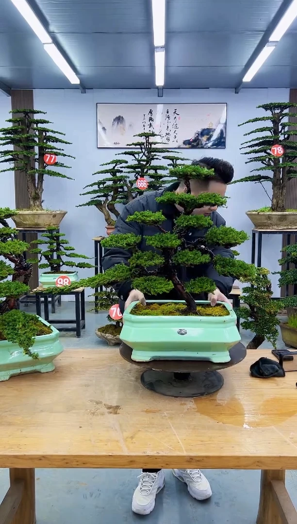 以实际为准迎*财00000000