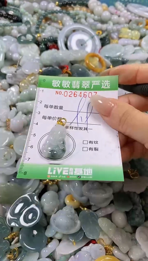 翡翠未镶嵌颈饰闪购0264607
