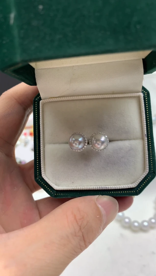 银S925镶嵌FF海水珍珠akoya灰珠耳饰