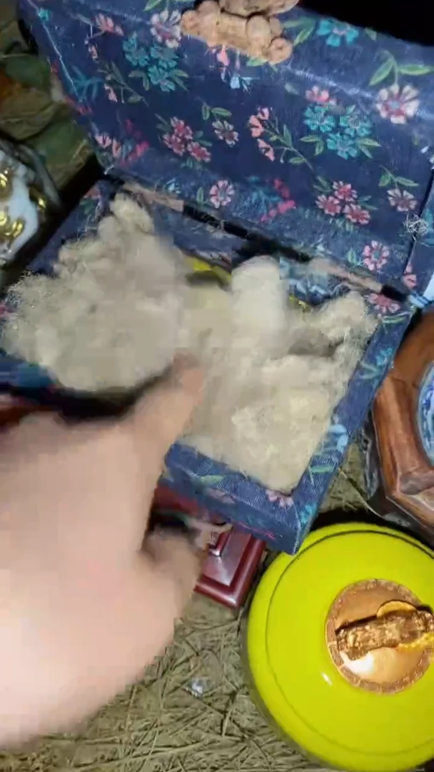 香榧木一一一一一一一福利