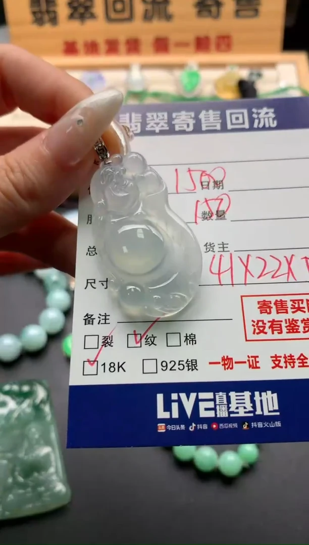 翡翠18K金镶嵌颈饰10138517