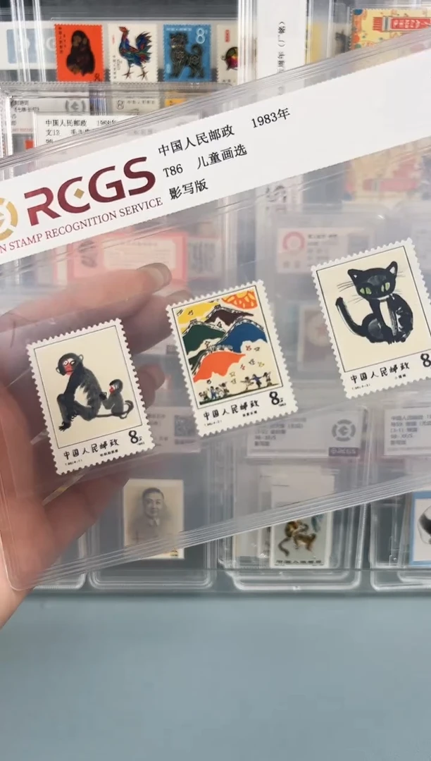 T86片装一套双11福利