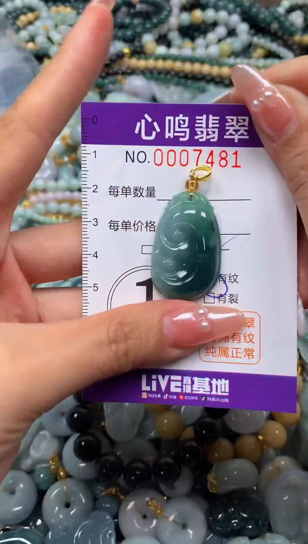 颈饰未镶嵌翡翠闪购007481