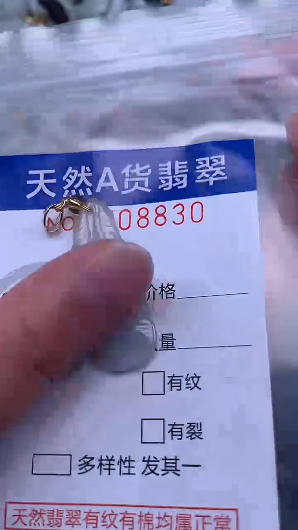 翡翠未镶嵌吊坠(不含链)1