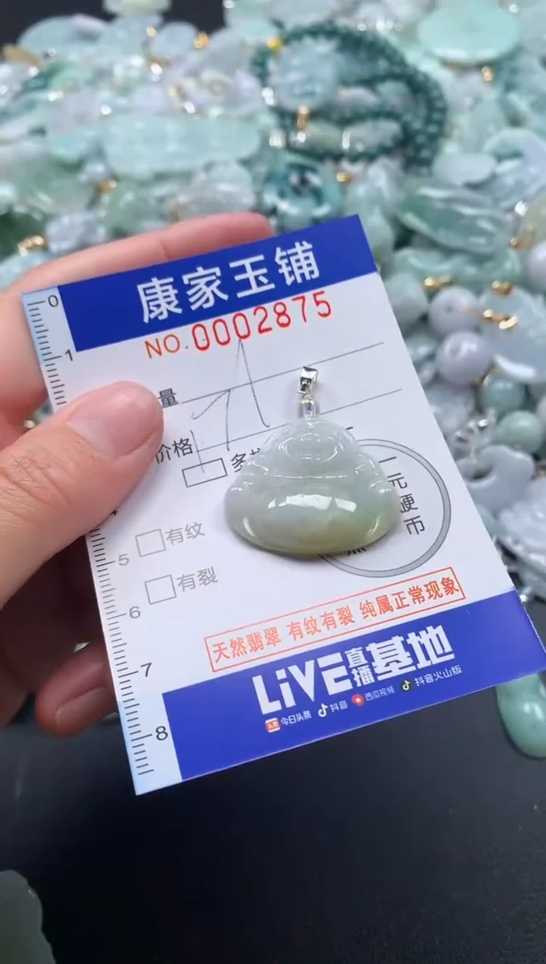 颈饰未镶嵌翡翠2875