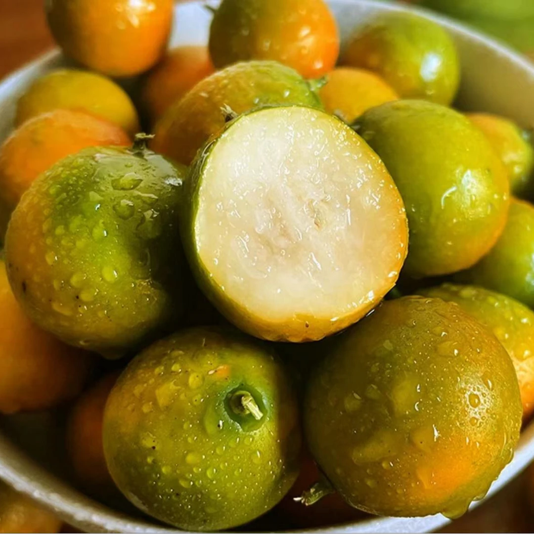 广西滑皮脆蜜金柑香甜应季水果蜂蜜金柑新鲜带皮吃水果独立包装