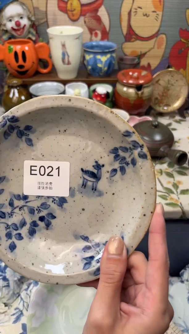 瓷片白****1    E021