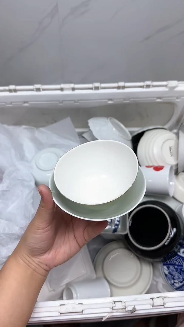 【闪购商品】449回流瓷器默认微瑕，18.8包邮