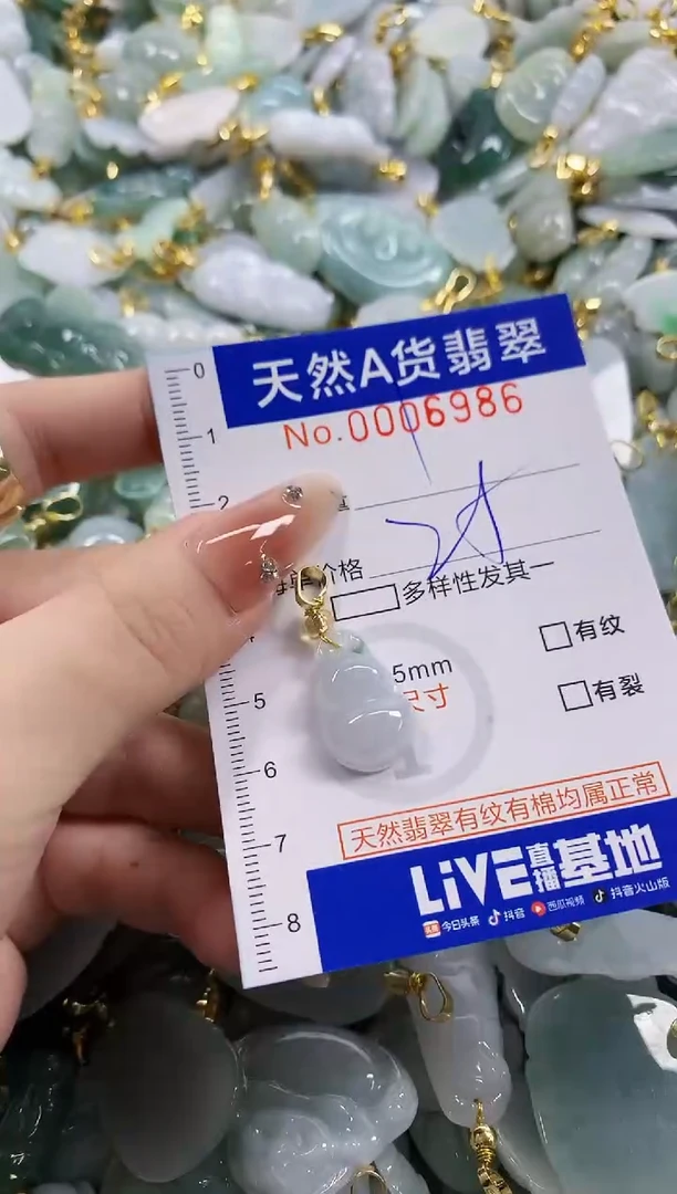 颈饰未镶嵌翡翠天然A货翡翠