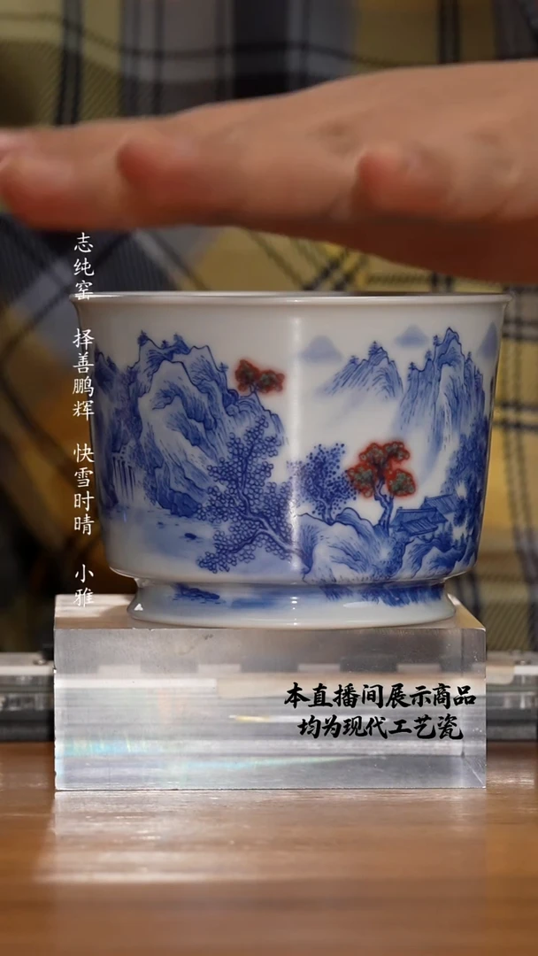 杯各大窑口精美茶器（zyt）