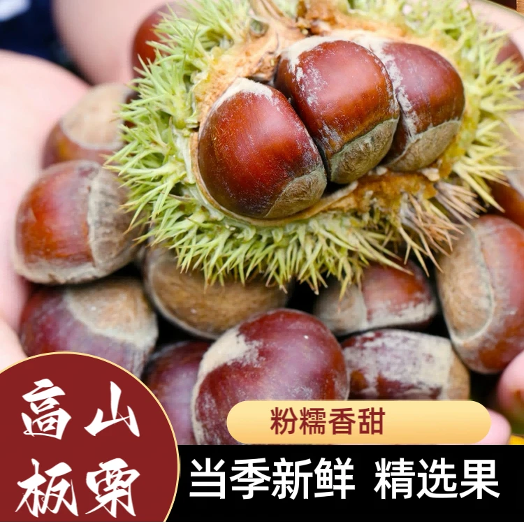 云南高山新鲜带壳板栗头茬红壳生吃脆甜熟吃粉面好剥皮