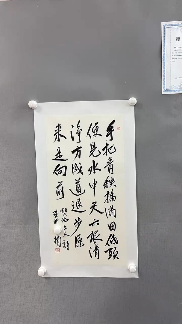 【闪购商品】书法雅艺典藏文化书法