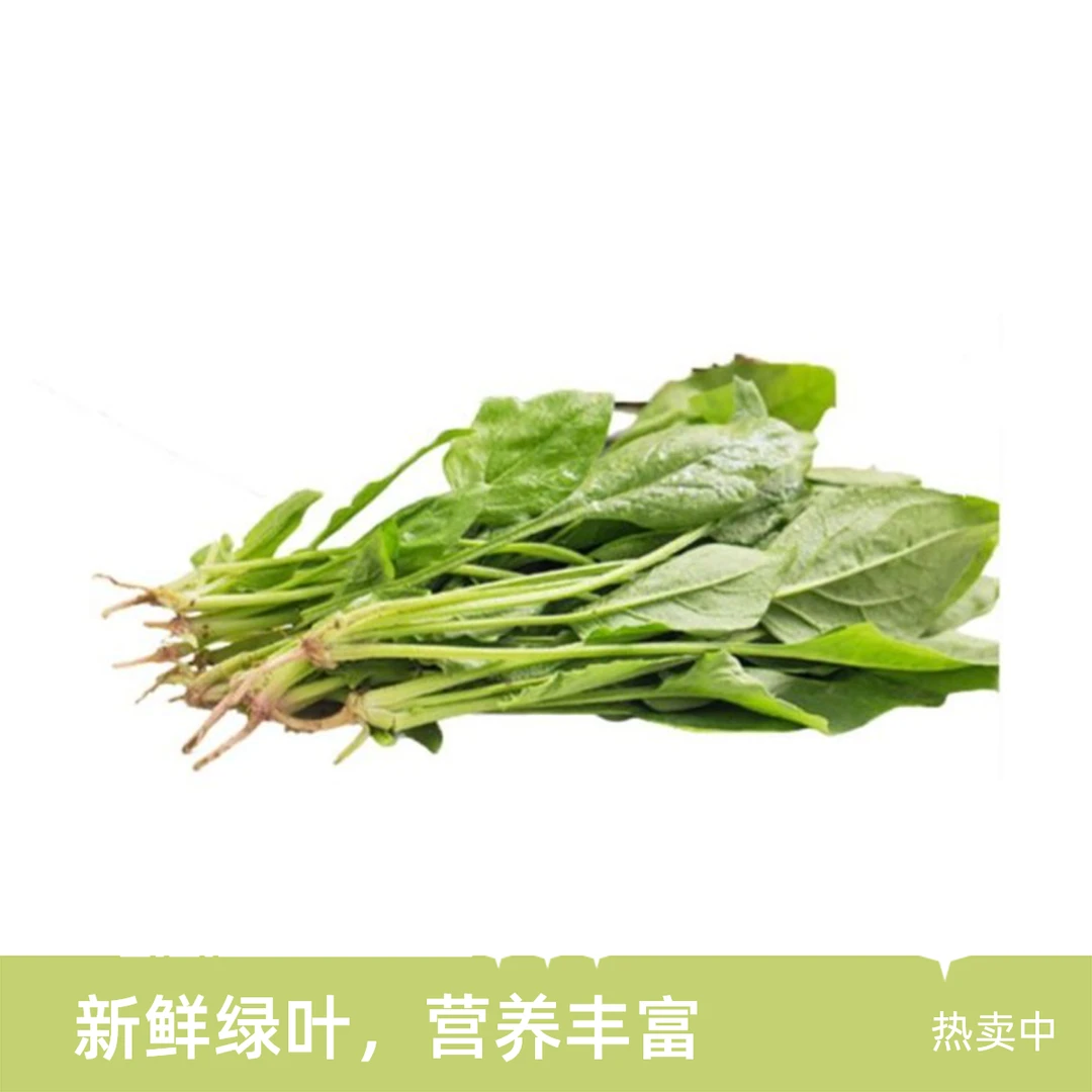【五泉精选】优质鲜菠菜250g