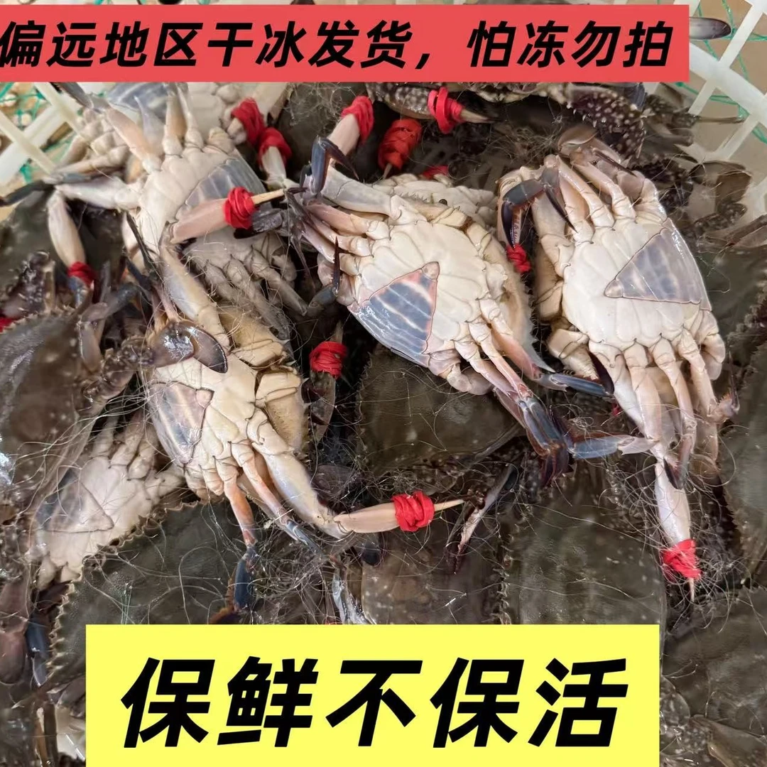 【大】小姑娘梭子蟹3斤没黄【保鲜不保活】1.8-2.5两左右/只嫌小勿拍