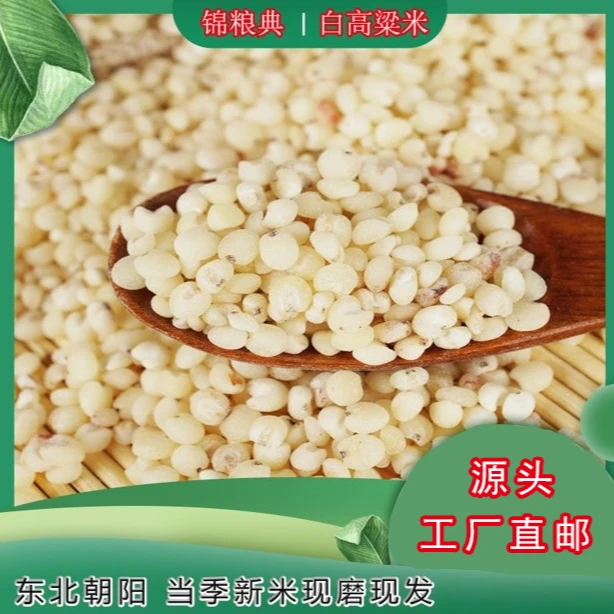 【虎妞专属】锦粮典  白高粱米 5斤/袋 颗粒米饱满