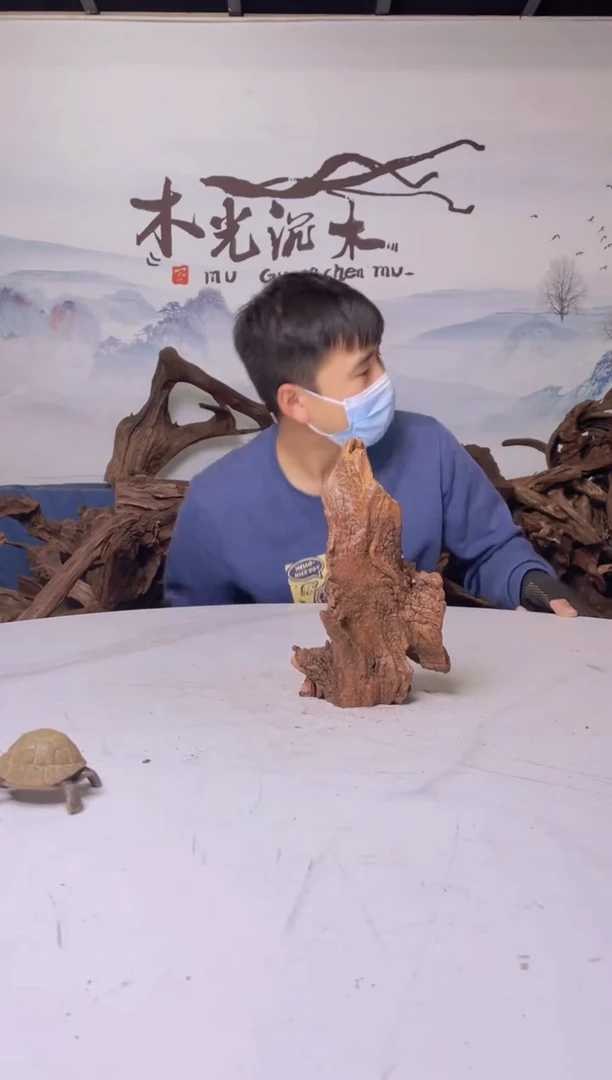 【闪购商品】A140木光沉木木光沉木