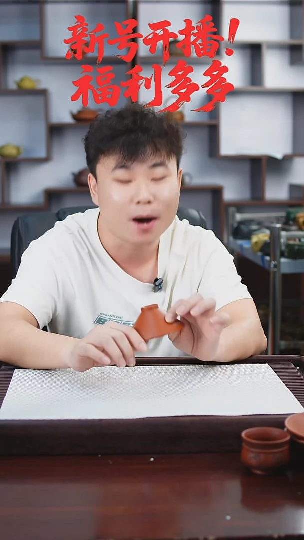 茶壶紫砂98798454566452