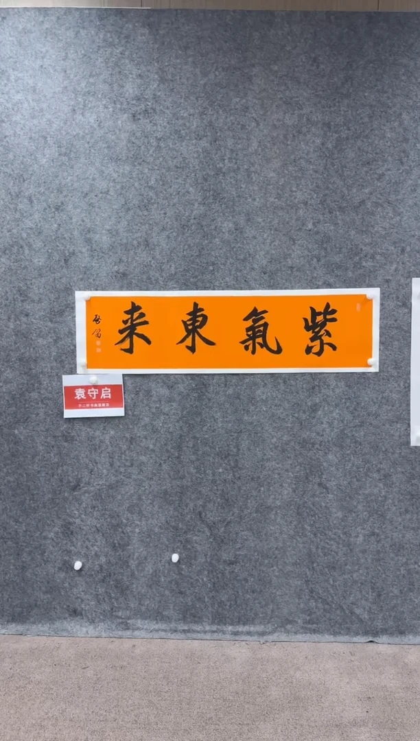 【闪购商品】书法pmw不二轩旗舰店书法YSQ36