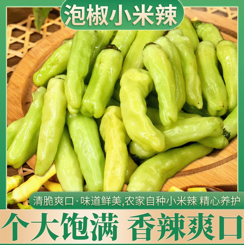 云南农家自种白皮泡椒小米辣腌菜蘸料百搭现摘现发