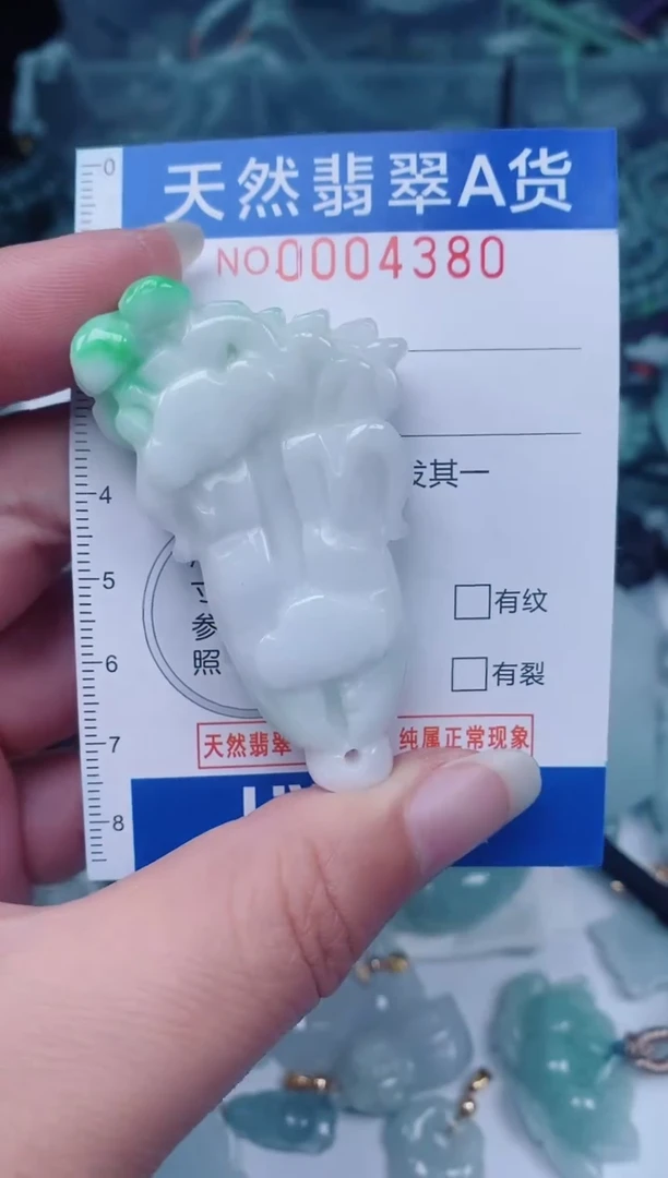 颈饰未镶嵌翡翠00004380
