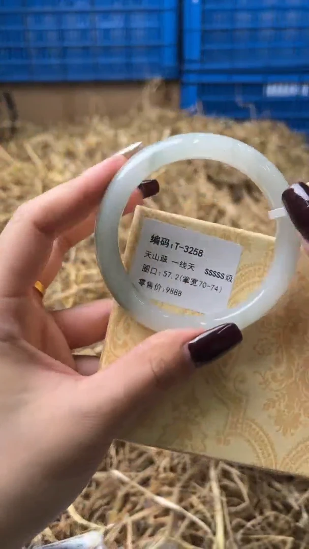 未镶嵌手镯石英质玉T-3258