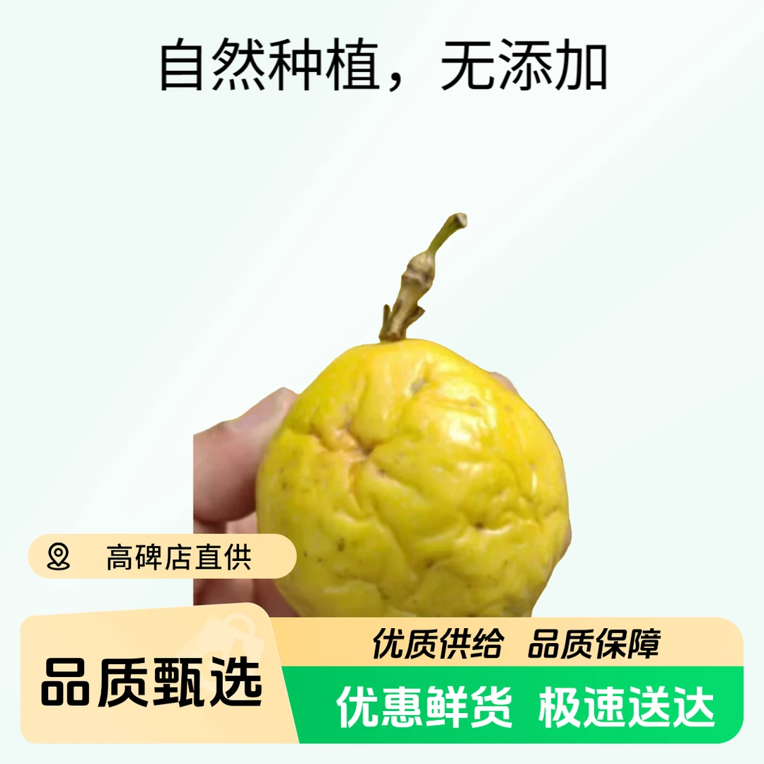 皱皮百香果约5斤