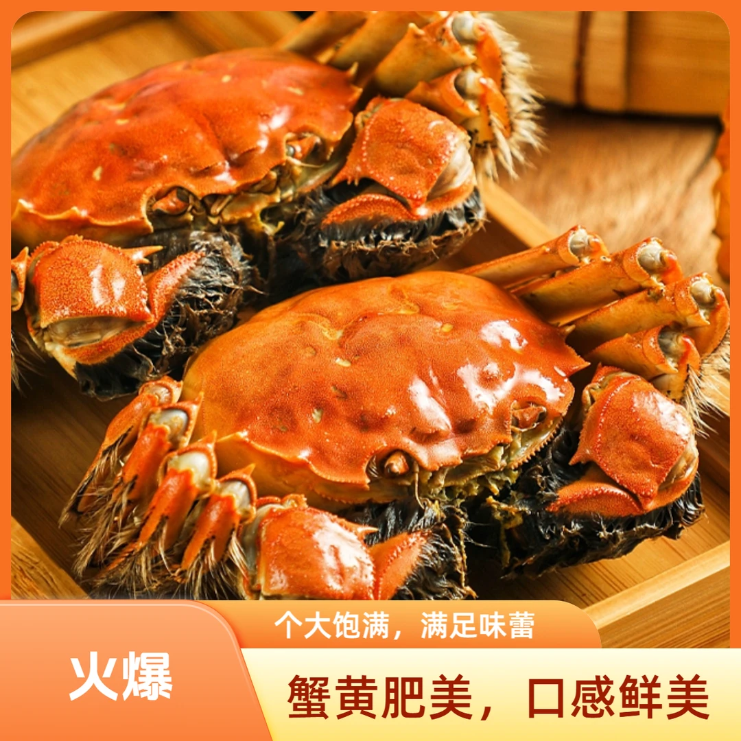 活蟹-次日达-正宗精品大闸蟹：3.3-3.5两母8只精品大闸蟹湖水活水养殖蟹黄肥蟹肉鲜海鲜河蟹
