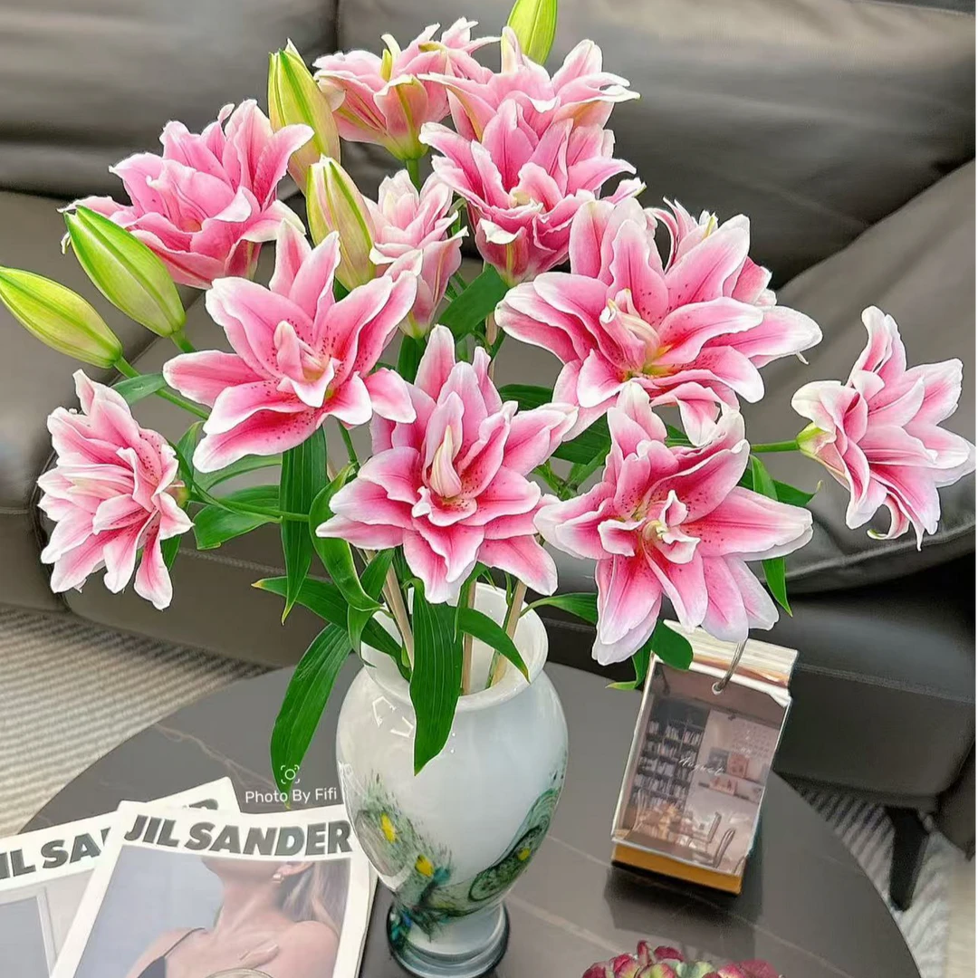 【六哥花卉】粉色重瓣香水百合 任意两单鲜花及以上多给鲜花一把