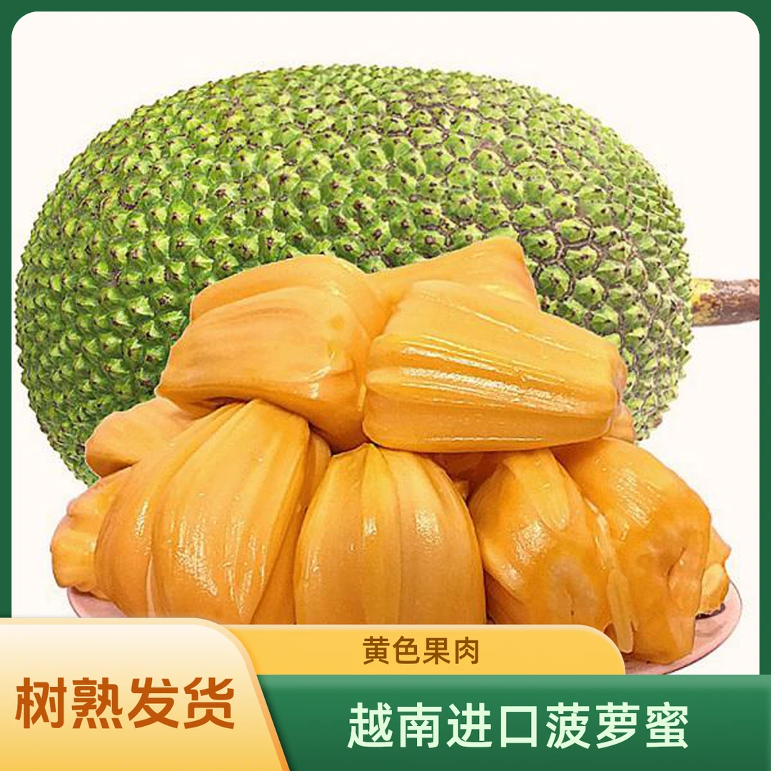 越南进口菠萝蜜应季水果树熟发货干苞脆甜【黄色果肉】黄肉菠萝蜜越南社会主义共和国