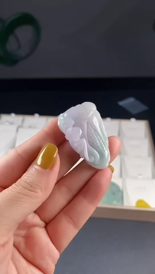 【闪购商品】翡翠颈饰未镶嵌00000000211