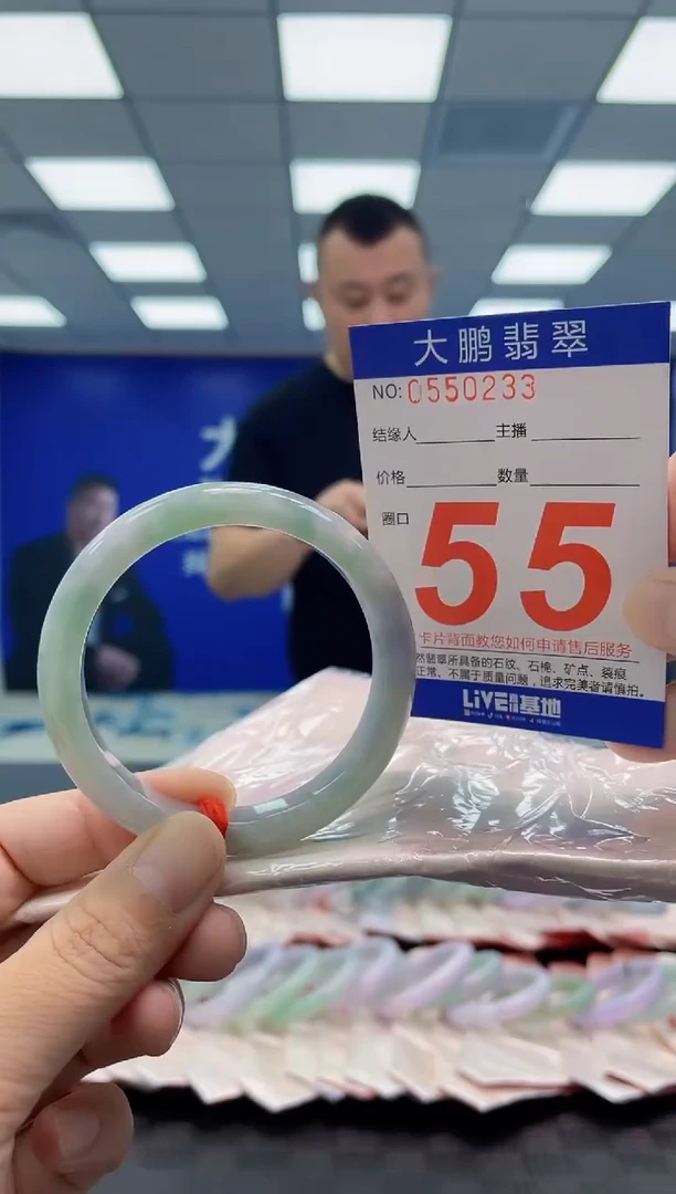 未镶嵌手镯翡翠AAAAAAAAAA