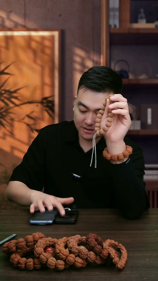 金刚菩提手串铁籽19