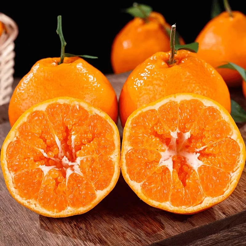 【坏果包赔】四川春见耙耙柑4.5斤装柑橘现摘应季爆汁水果彩箱T【ZY】