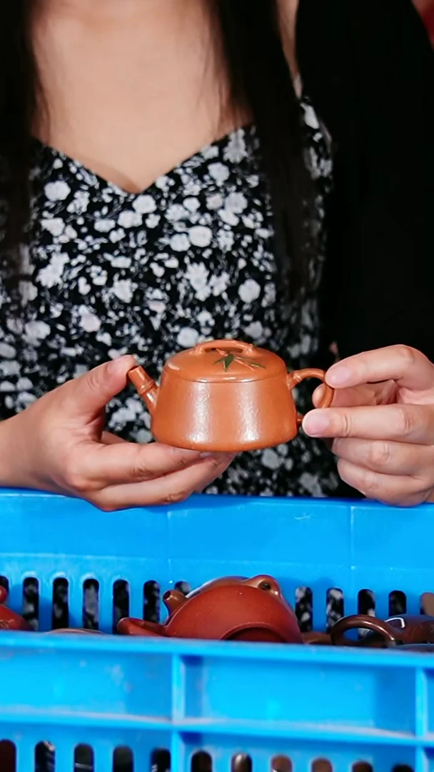 宜兴原矿紫砂壶茶壶100C