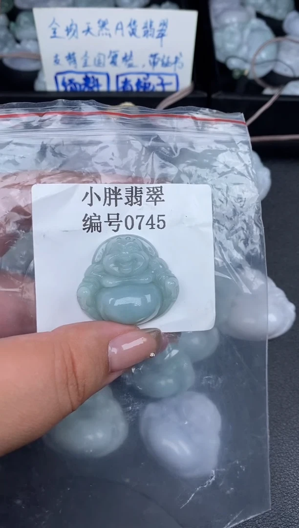 翡翠未镶嵌颈饰缅甸天然A货翡翠0745