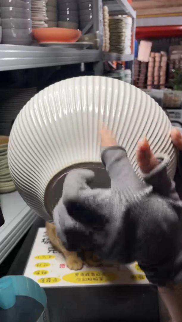 【闪购商品】碗0963          两个芝麻釉
