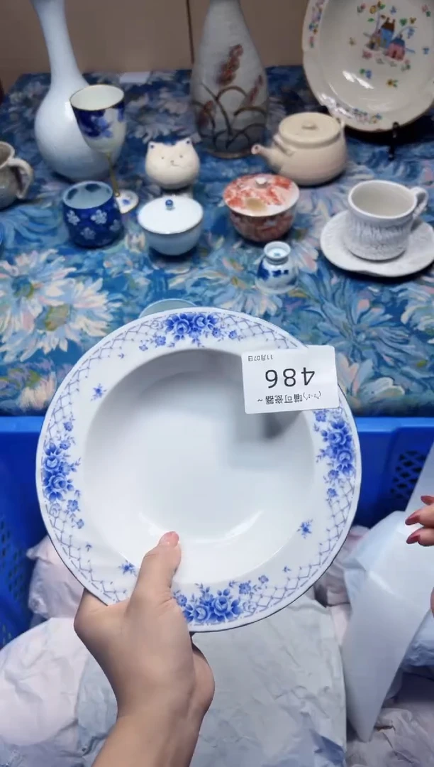 瓷片小*蛋486 定向 小肉蛋 商品类目