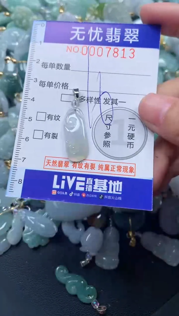 颈饰未镶嵌翡翠7813