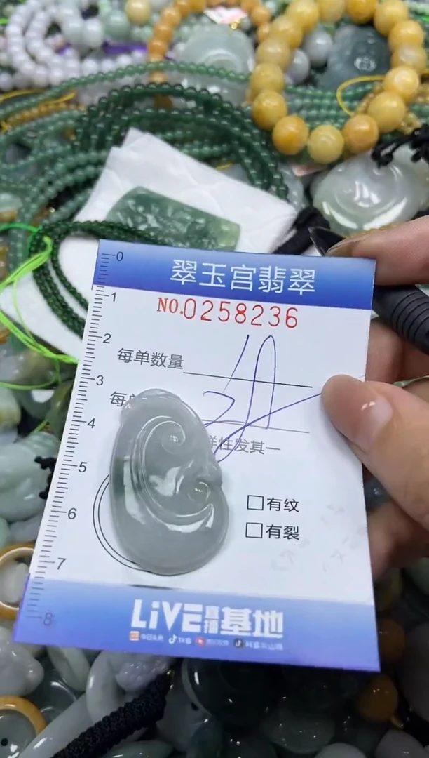 颈饰未镶嵌翡翠闪购C0258236