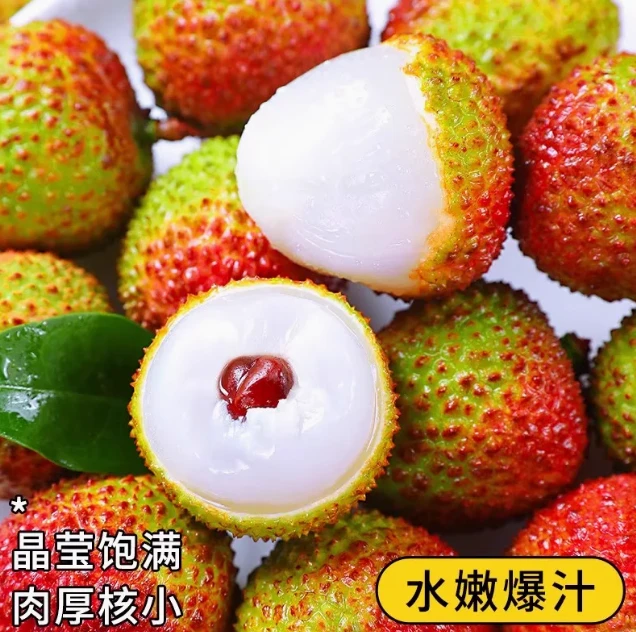 广东妃子笑老树荔枝头茬过新鲜现摘冷链发货