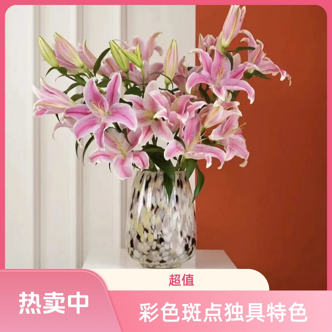 团团圆圆彩色斑点花纹羽毛玻璃花瓶花艺摆件客厅插花装饰