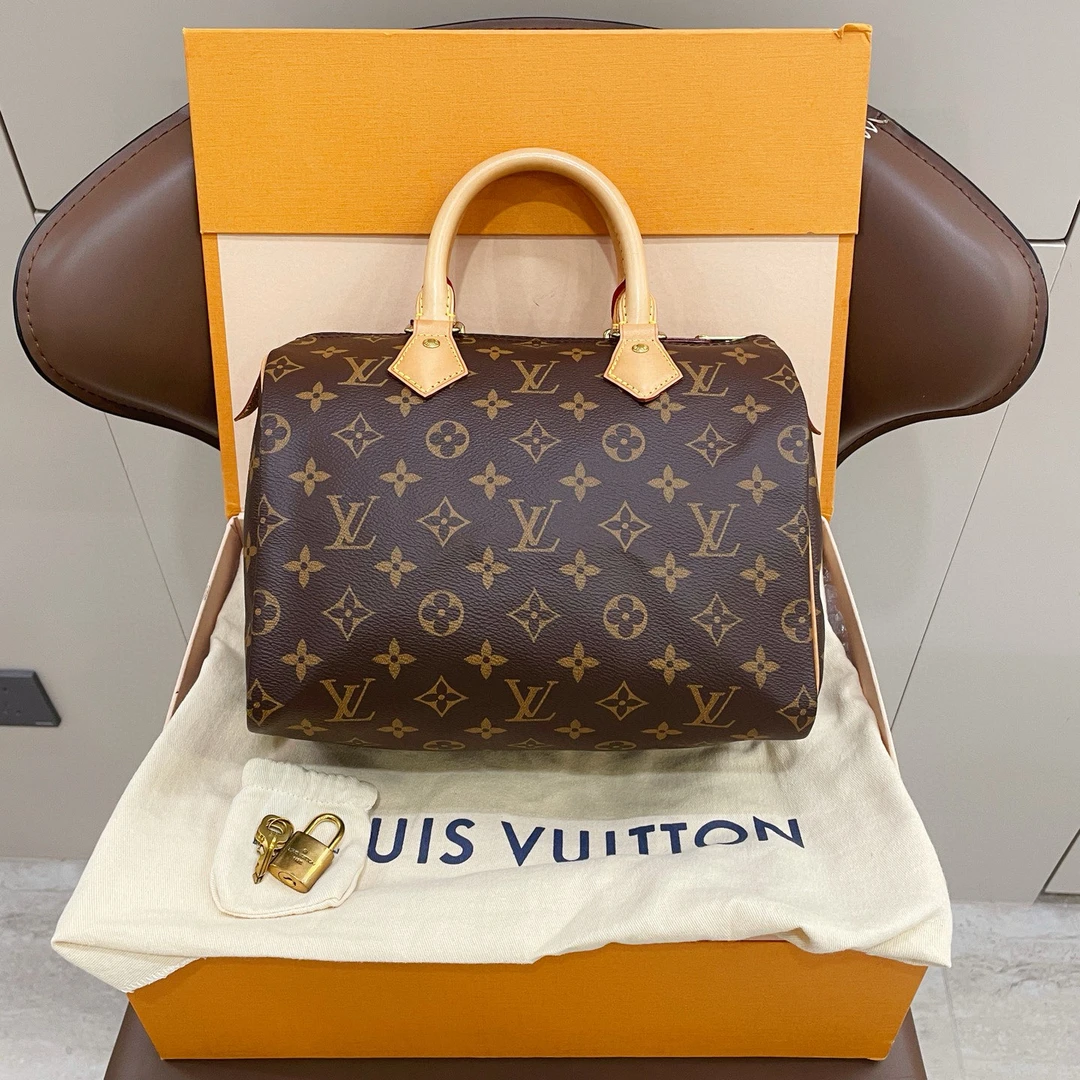 95新 LouisVuitton/路易威登 speedy25手提包芯片款
