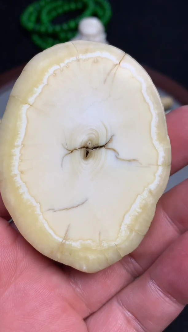 【闪购商品】橄榄核手串/手链猛犸猛犸猛犸猛犸D18